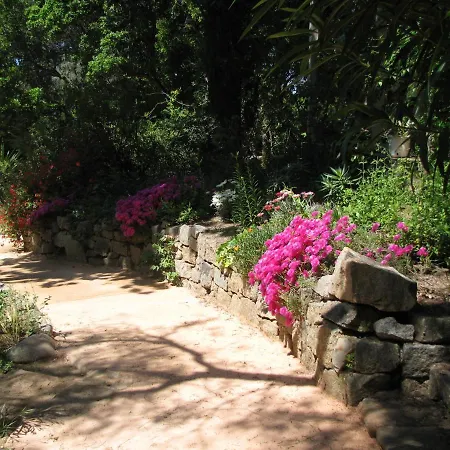 Isolella Casa vacanze